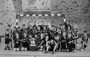 Un point sur les équipes du HBDC