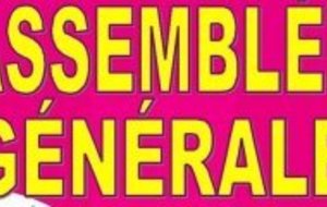 L'Assemblée Générale du club ce vendredi 15 juin