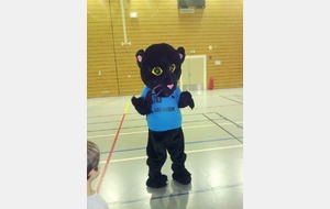 LA MASCOTTE DU HBDC !!!