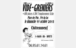Vide-grenier du HBDC à Châteauneuf