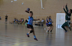 SANARY / HBDC - Championnat PNF