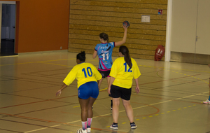 SANARY / HBDC - Championnat PNF