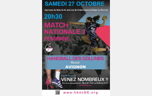 HBDC / Avignon     -     Championnat N3F