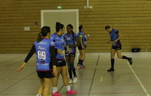 HBDC / VALLIS AUREA    -     Championnat N3F