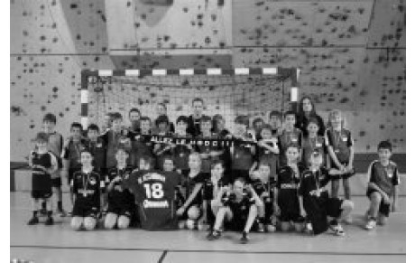 Un point sur les équipes du HBDC