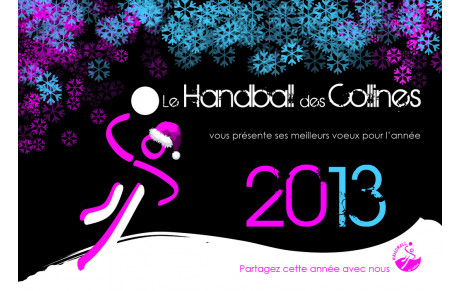 Tous nos voeux pour 2013 !!!!